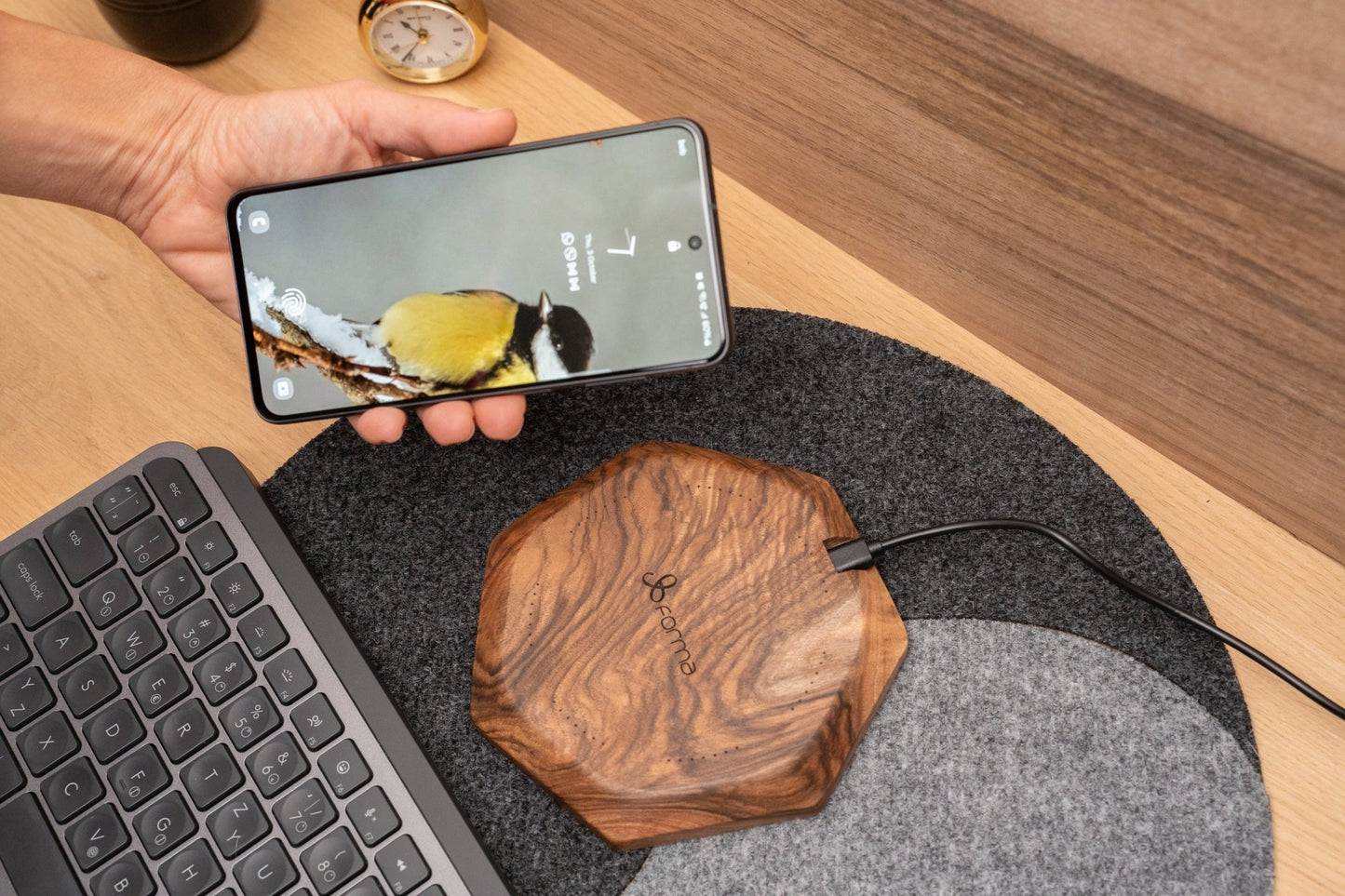 Lesen polnilec za telefon Stella - My Store